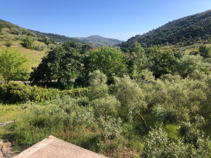 Villa-allo-stato-grezzo-con-uliveto-nuova-costruzione (1)