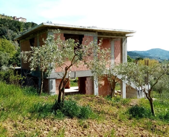 Villa-allo-stato-grezzo-con-uliveto-nuova-costruzione (5)