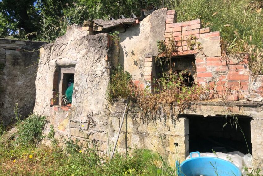 terreno-con-uliveto-e-piccolo-rudere-in-vendita (2)