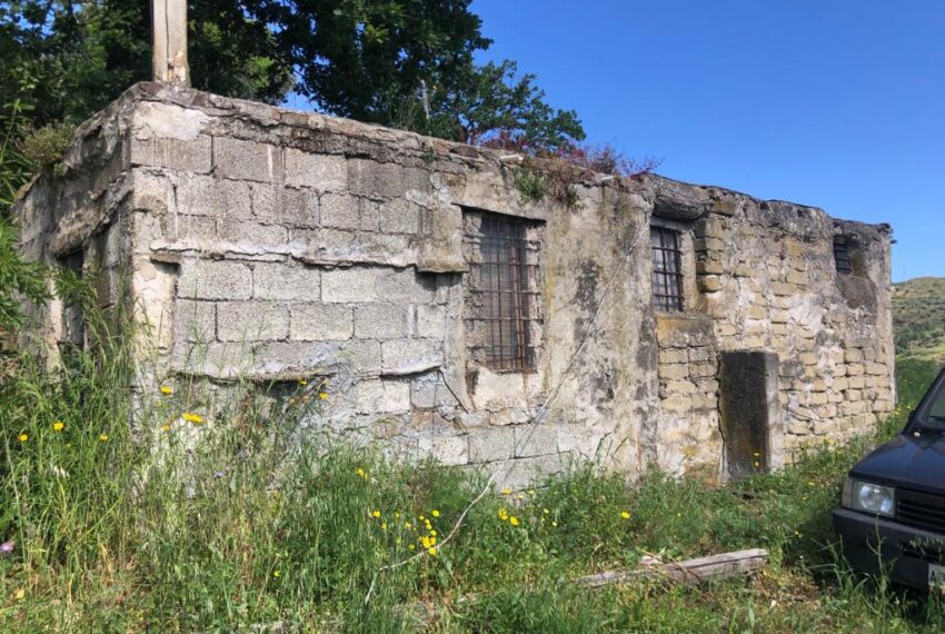 terreno-con-uliveto-e-piccolo-rudere-in-vendita (6)