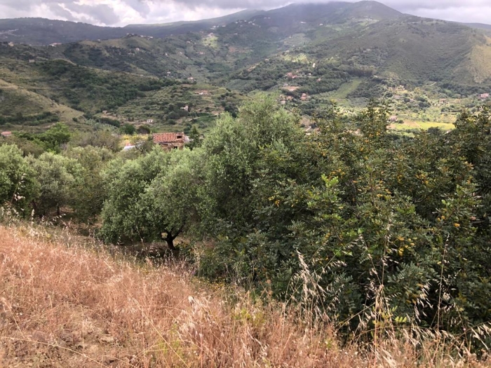 rudere-in-vendita-contrada-difesa-con-terreno (11)