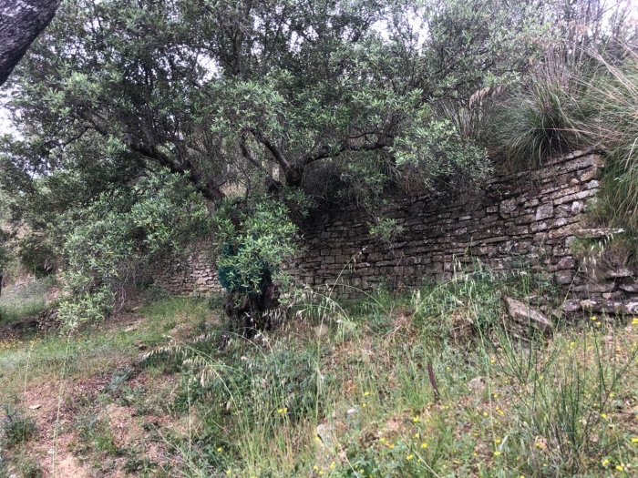 rudere-in-vendita-contrada-difesa-con-terreno (9)