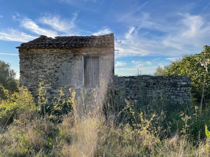 Ruderi-con-terreno-coltivato-a-uliveto-in-vendita-a-Perdifumo (2)