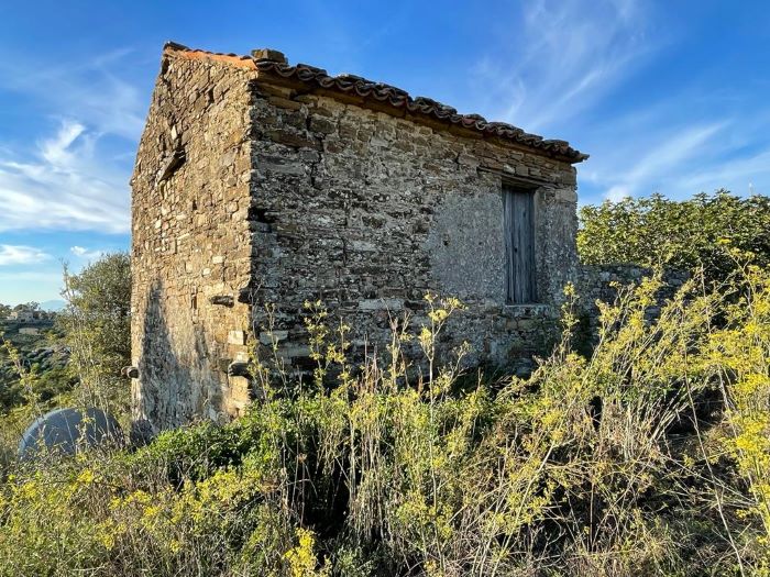 Ruderi-con-terreno-coltivato-a-uliveto-in-vendita-a-Perdifumo (4)