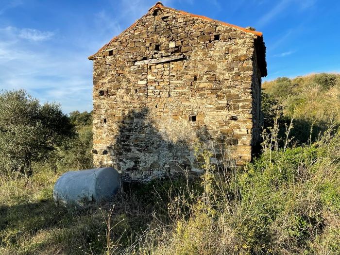 Ruderi-con-terreno-coltivato-a-uliveto-in-vendita-a-Perdifumo (5)
