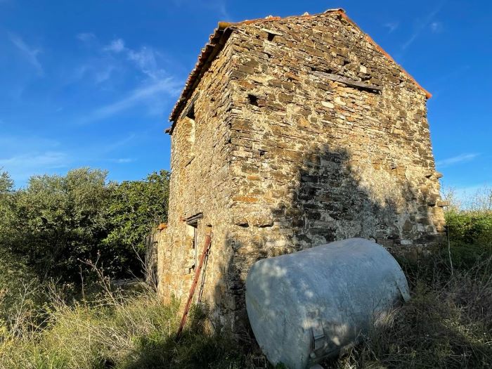 Ruderi-con-terreno-coltivato-a-uliveto-in-vendita-a-Perdifumo (6)