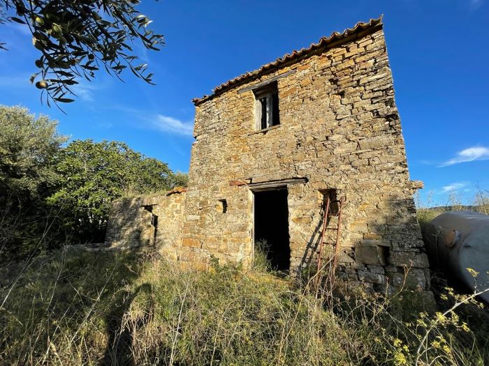 Ruderi-con-terreno-coltivato-a-uliveto-in-vendita-a-Perdifumo (7)