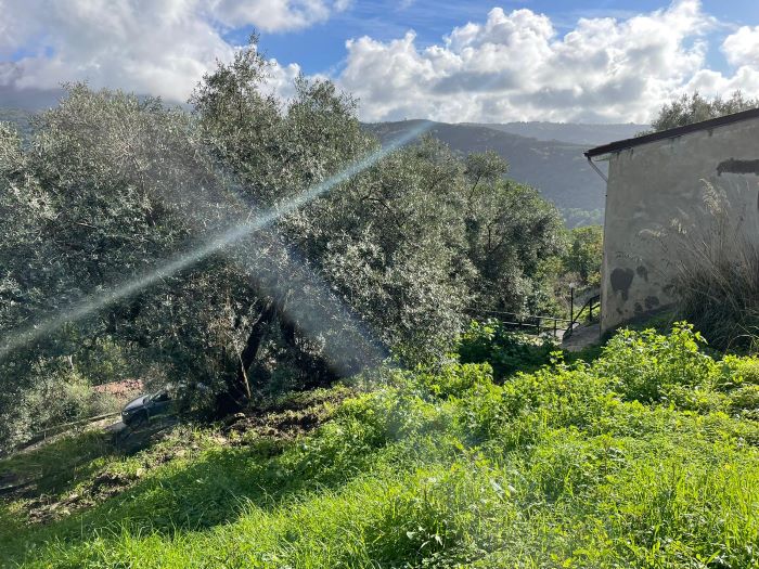 casa-di-paese-in-vendita-con-terreno-a-Ortodonico (3)