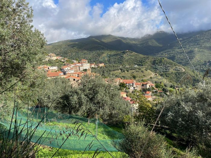 casa-di-paese-in-vendita-con-terreno-a-Ortodonico (5)