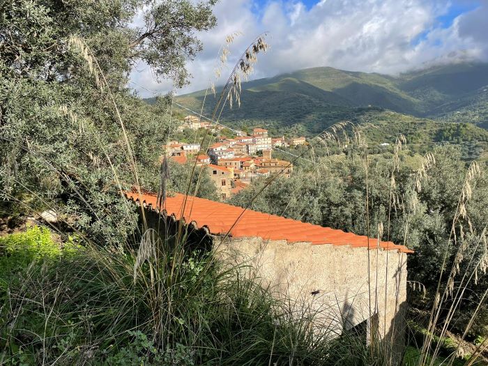 casa-di-paese-in-vendita-con-terreno-a-Ortodonico (6)