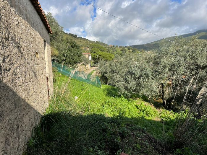 casa-di-paese-in-vendita-con-terreno-a-Ortodonico (7)