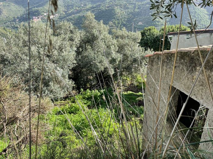 casa-di-paese-in-vendita-con-terreno-a-Ortodonico (8)