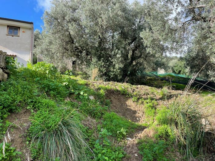 casa-di-paese-in-vendita-con-terreno-a-Ortodonico (9)