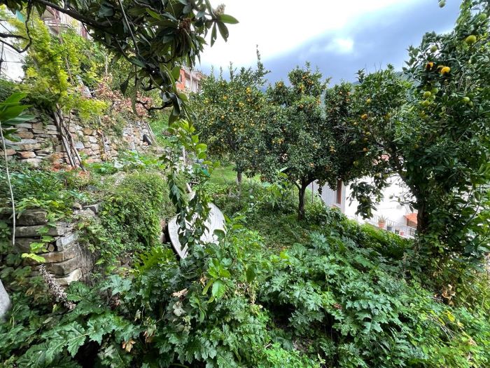 rudere-in-vendita-a-Serramezzana-con-giardino (10)
