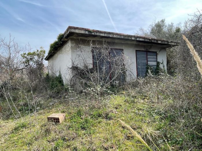 Fabbricato-da-ristrutturare-con-terreno-vista-mare-in-vendita-a-Laurana-C (5)