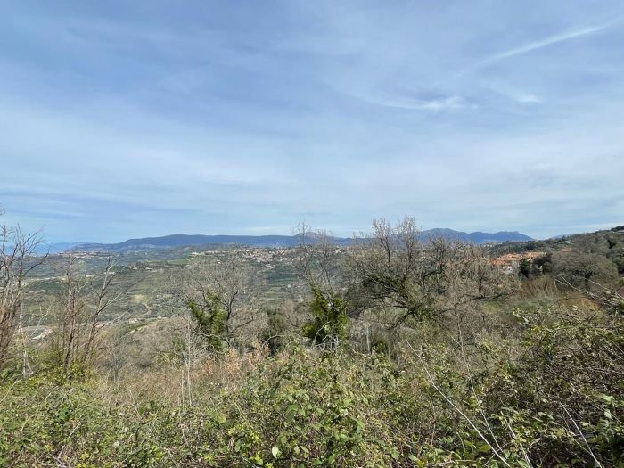 Fabbricato-da-ristrutturare-con-terreno-vista-mare-in-vendita-a-Laurana-C (6)