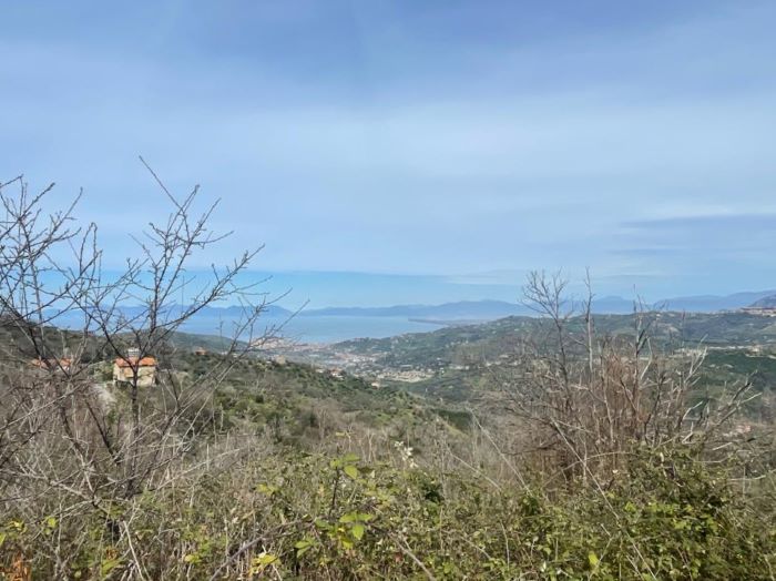 Fabbricato-da-ristrutturare-con-terreno-vista-mare-in-vendita-a-Laureana-C.to (1)