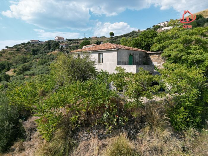 Casale-con-terreno-in-vendita-a-Perdifumo (12)