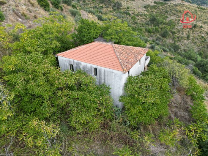 Casale-con-terreno-in-vendita-a-Perdifumo (4)