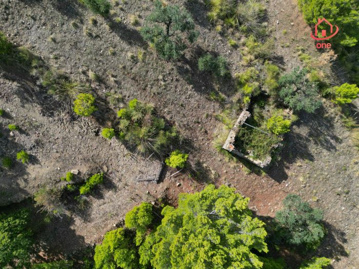 Rudere-vista-mare-con-progetto-approvato-Montecorice (1)