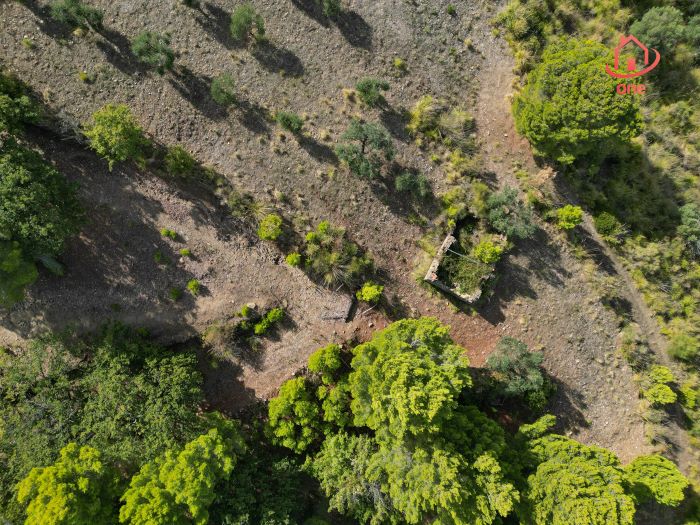 Rudere-vista-mare-con-progetto-approvato-Montecorice (17)