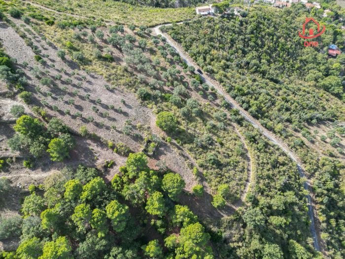 Rudere-vista-mare-con-progetto-approvato-Montecorice (6)