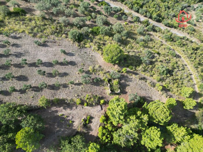 Rudere-vista-mare-con-progetto-approvato-Montecorice (7)