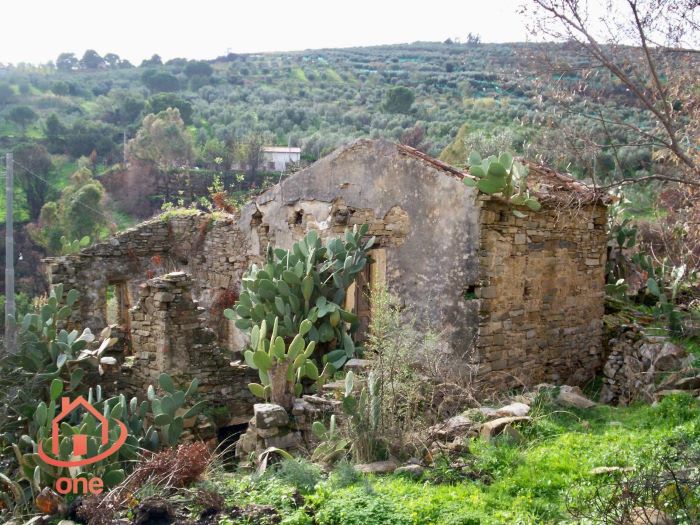 Casale-di-campagna-con-uliveto-in-vendita-a-Ogliastro-Marina (10)