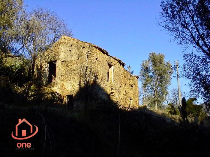 Casale-di-campagna-con-uliveto-in-vendita-a-Ogliastro-Marina (12)