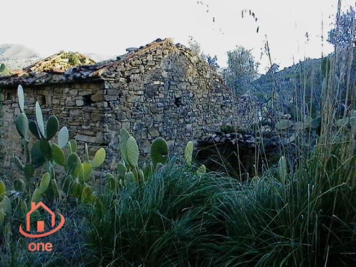 Casale-di-campagna-con-uliveto-in-vendita-a-Ogliastro-Marina (14)