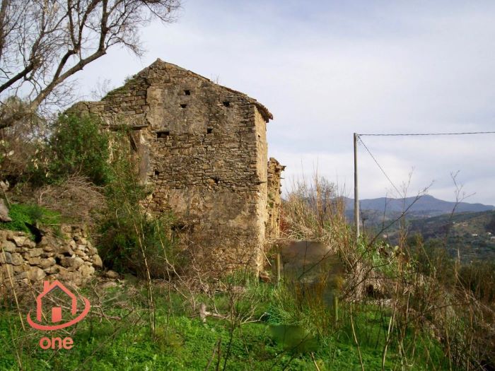 Casale-di-campagna-con-uliveto-in-vendita-a-Ogliastro-Marina (17)