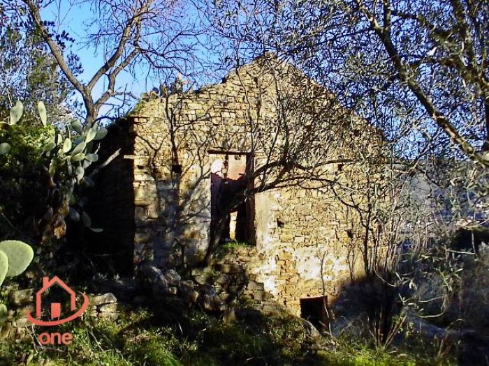 Casale-di-campagna-con-uliveto-in-vendita-a-Ogliastro-Marina (3)