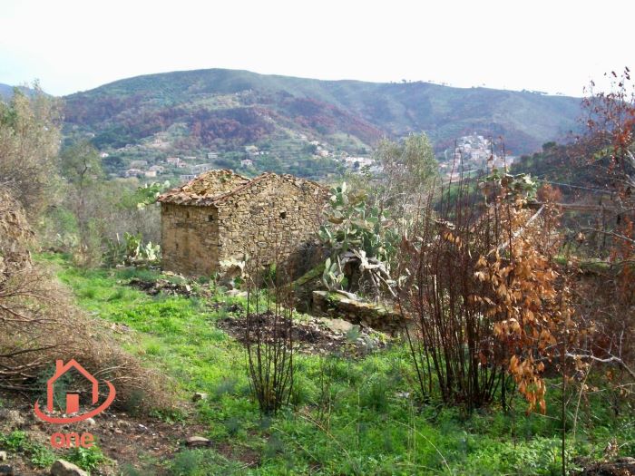 Casale-di-campagna-con-uliveto-in-vendita-a-Ogliastro-Marina (6)