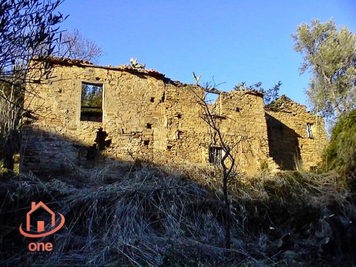 Casale-di-campagna-con-uliveto-in-vendita-a-Ogliastro-Marina (7)