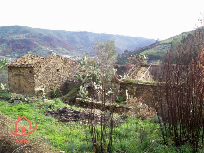 Casale-di-campagna-con-uliveto-in-vendita-a-Ogliastro-Marina (8)