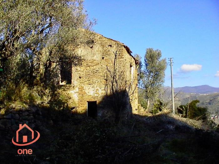 Casale-di-campagna-con-uliveto-in-vendita-a-Ogliastro-Marina (9)