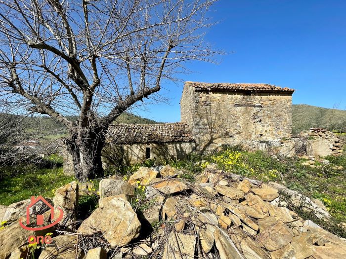 Rudere-in-vendita-a-Motecorce-con-progetto-approvato- (12)