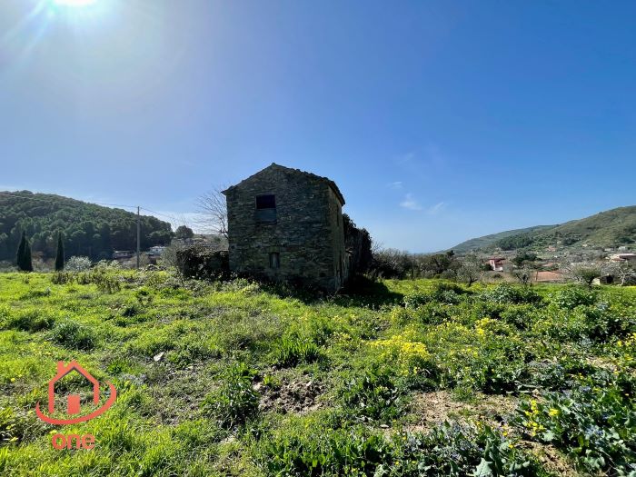Rudere-in-vendita-a-Motecorce-con-progetto-approvato- (18)