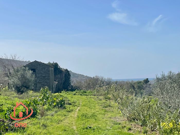 Rudere-in-vendita-a-Motecorce-con-progetto-approvato- (19)