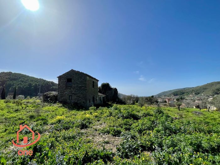 Rudere-in-vendita-a-Motecorce-con-progetto-approvato- (20)