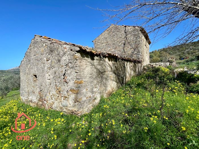 Rudere-in-vendita-a-Motecorce-con-progetto-approvato- (6)