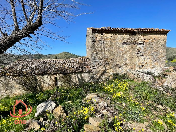 Rudere-in-vendita-a-Motecorce-con-progetto-approvato- (7)