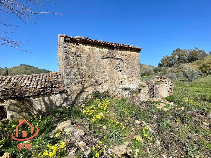 Rudere-in-vendita-a-Motecorce-con-progetto-approvato- (8)