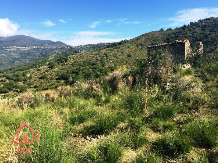 Agnone-Cilento-rudere-vista-mare-in-vendita (10)