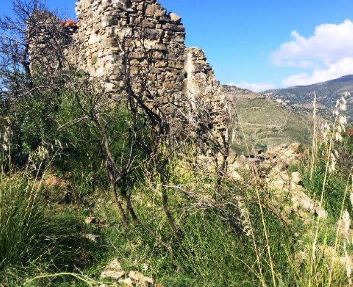 Agnone-Cilento-rudere-vista-mare-in-vendita (13)