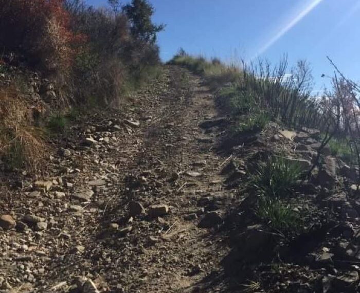 Agnone-Cilento-rudere-vista-mare-in-vendita (17)