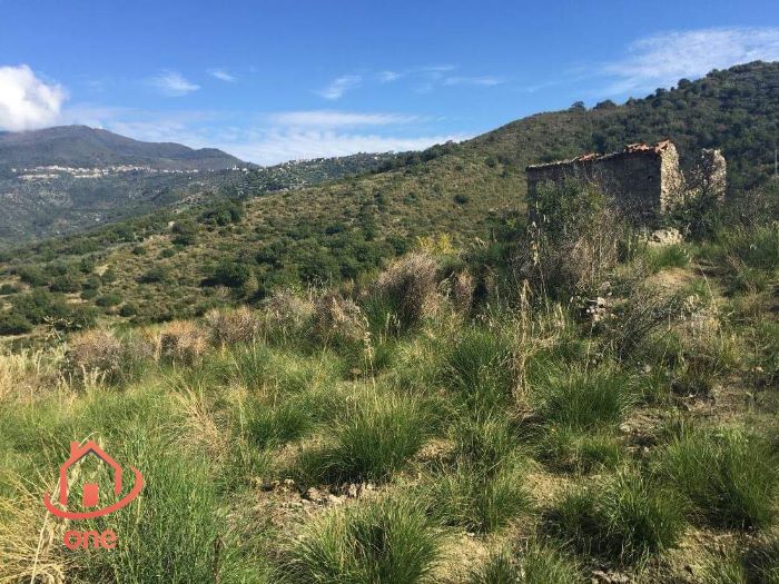Agnone-Cilento-rudere-vista-mare-in-vendita (2)