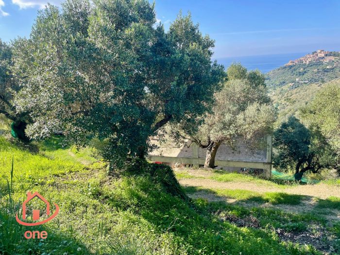Villa-da-completare-in-vendita-a-Castellabate-con-vista-mare (38)