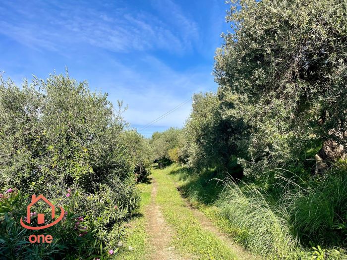 Villa-vista-mare-in-vendita-a-Santa-Maria-di-Castellabate (2)