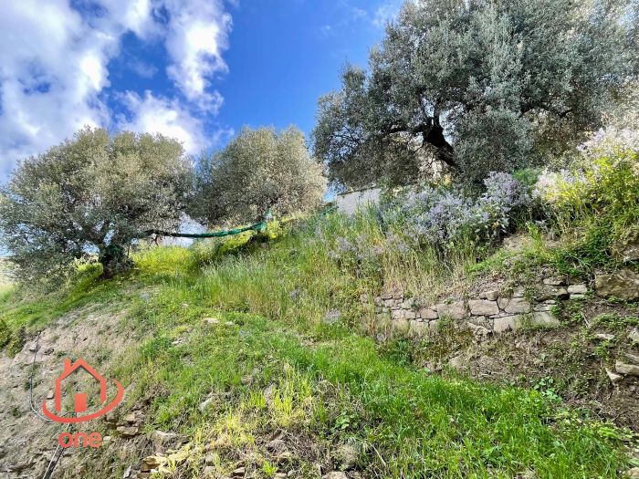Casale-con-terreno-in-vendita-a-San-Marco-di-Castellabate-con-vista-mare (20)